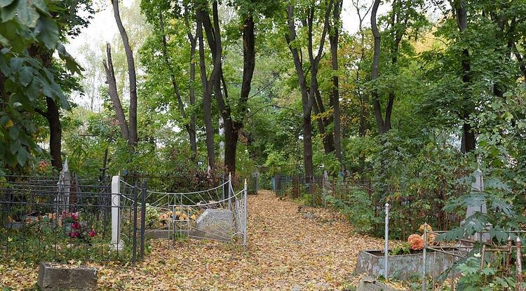 Фото: Елена Журавлёва