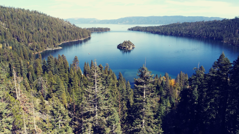    Shutterstock/FOTODOM