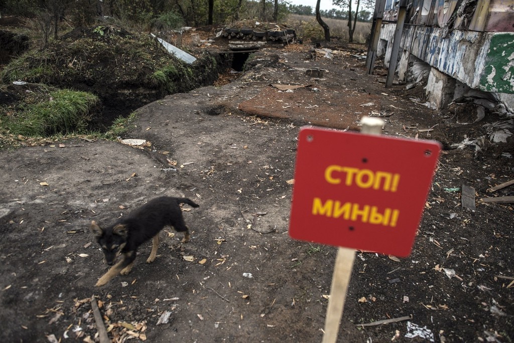    Фото © flickr.com / OSCE Special Monitoring Mission to Ukraine