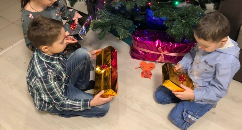    Впервые за 12 лет поставили на Новый год живую елку и 100 раз пожалели - вот почему