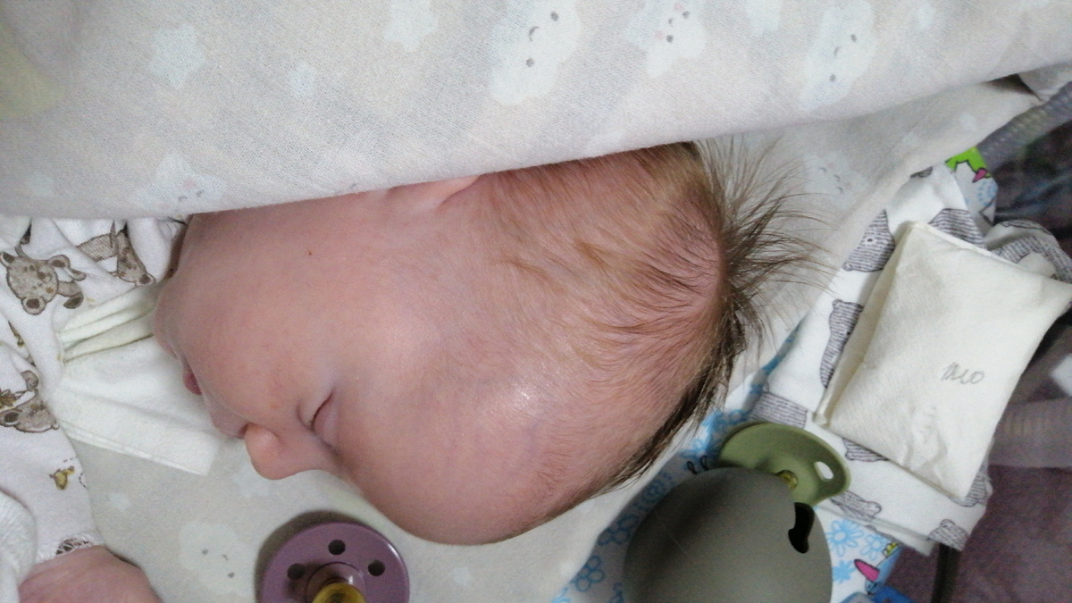 Вот такой волосатик родился