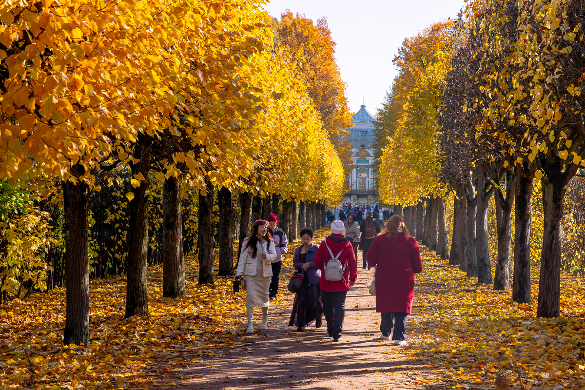 Фото: ГМЗ "Царское Село", Екатерина Новак