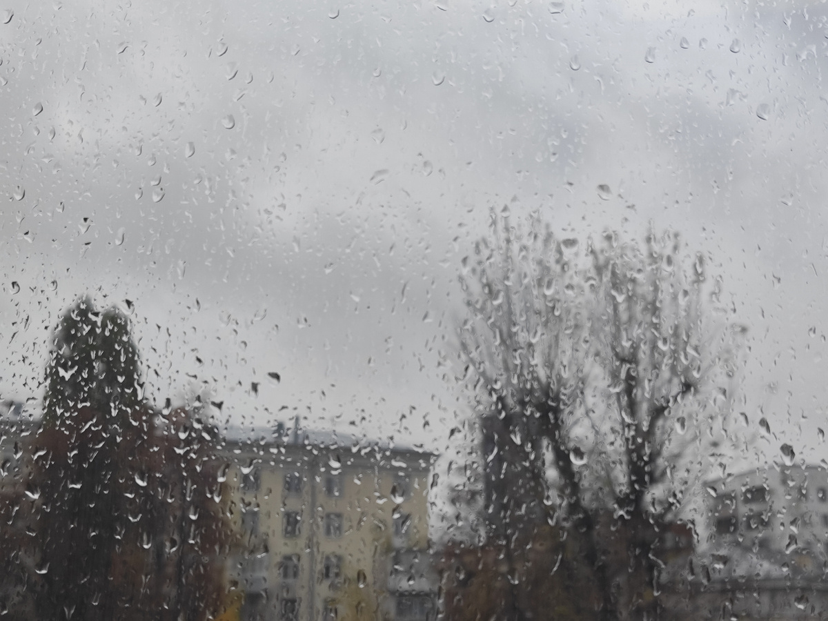 Сегодня целый день проливной дождь.