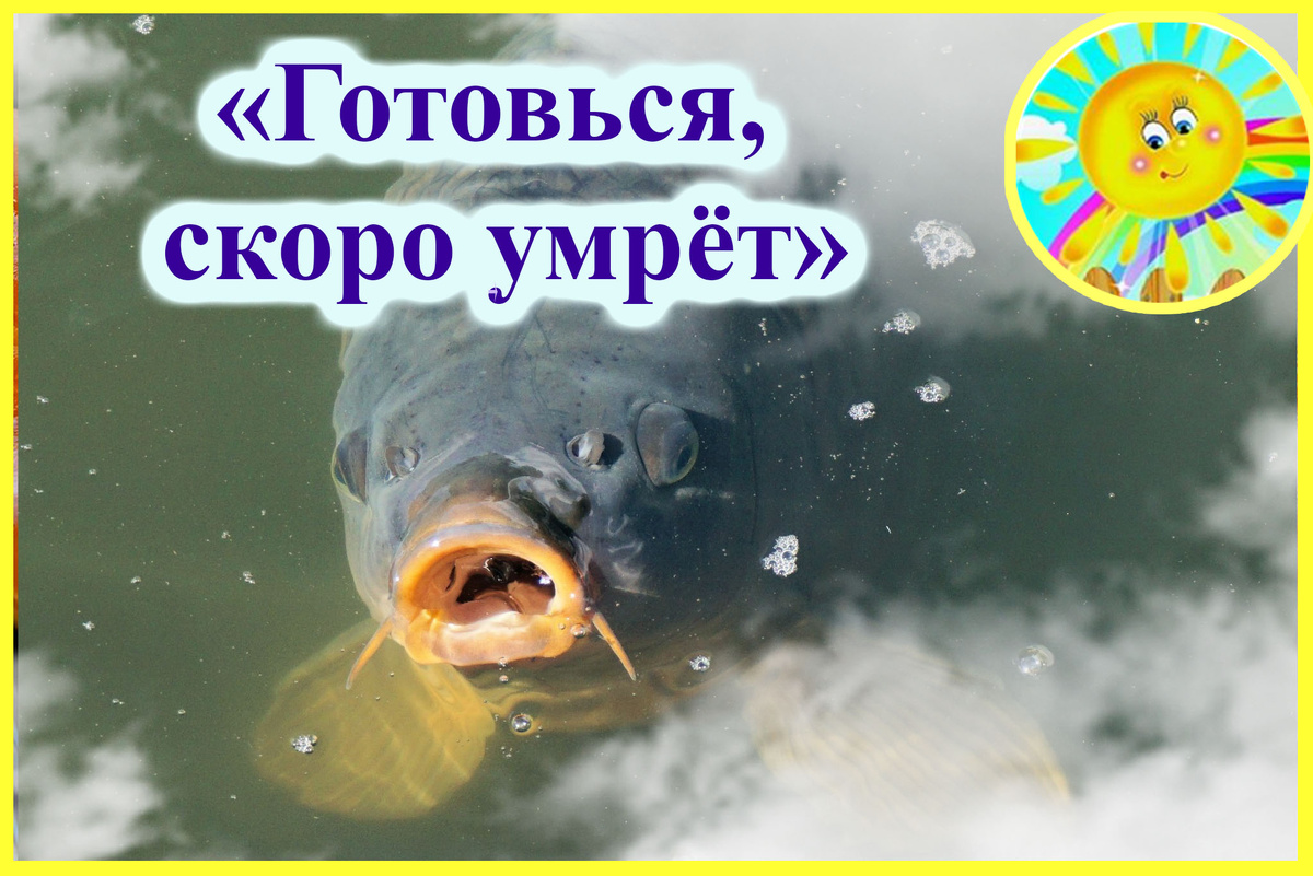 Личный архив автора