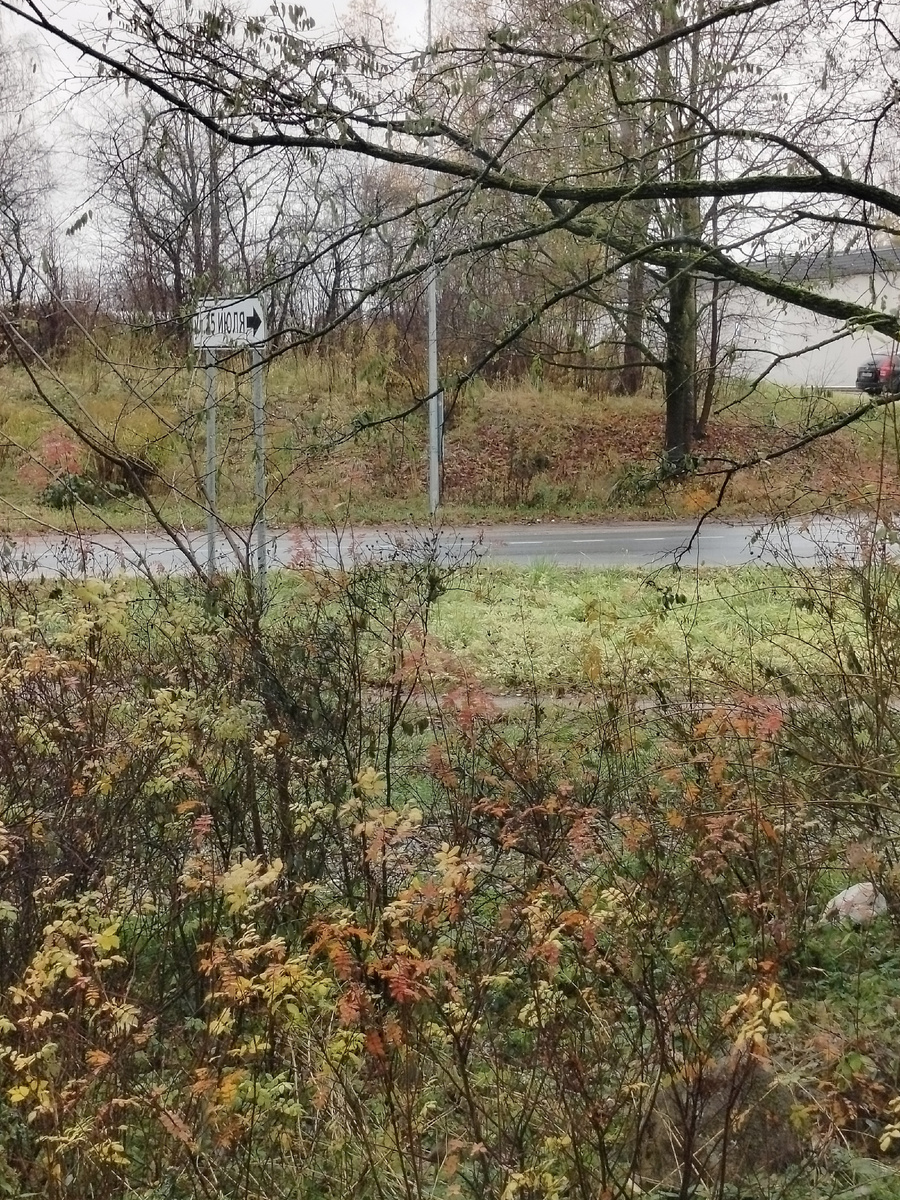 Пейзаж за окном. Только не успевшие облететь осенние листья его пытаются  украсить 