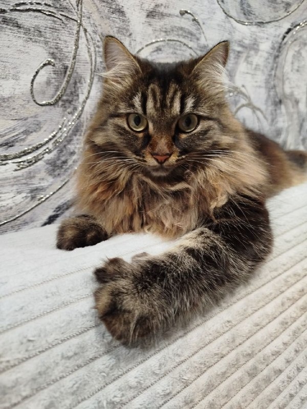 Наша Маруся