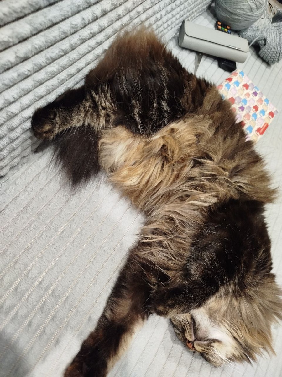 Ответственно и качетсвенно вырабатывает уют