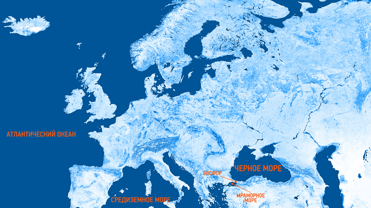     Фото: Viacheslav Lopatin/Shutterstock/FOTODOM Такая изолированность наложила отпечаток на процессы, происходящие в море