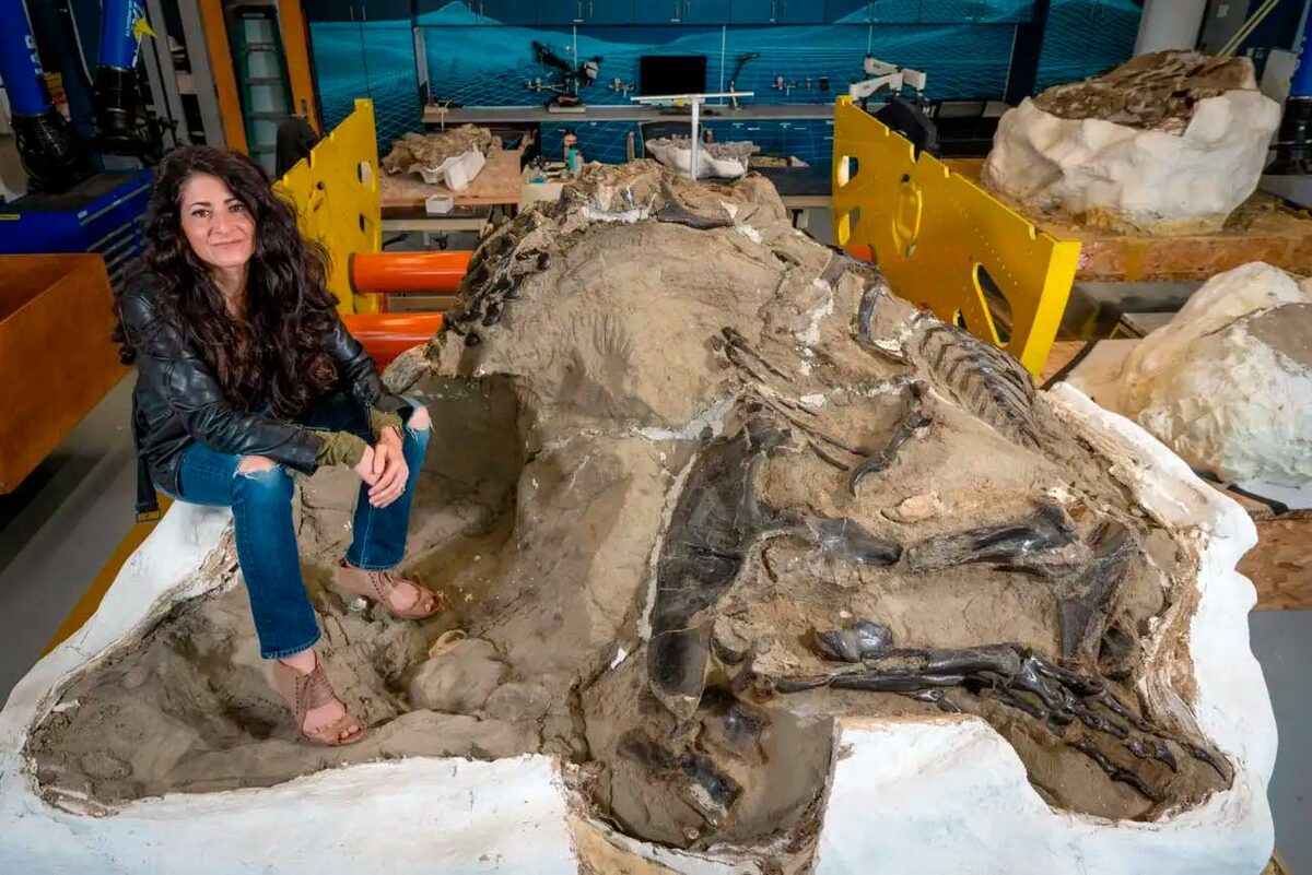    Линдси Занно с останками Nanotyrannus Lancensis / © NC State University