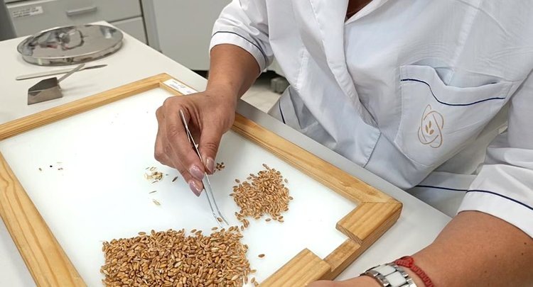    Фото: ФГБУ ЦОК АПК