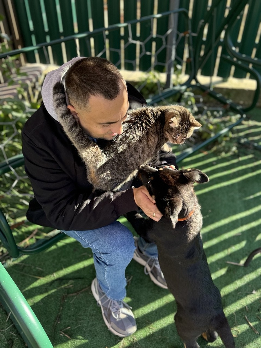 Щенок Джек и Тиша