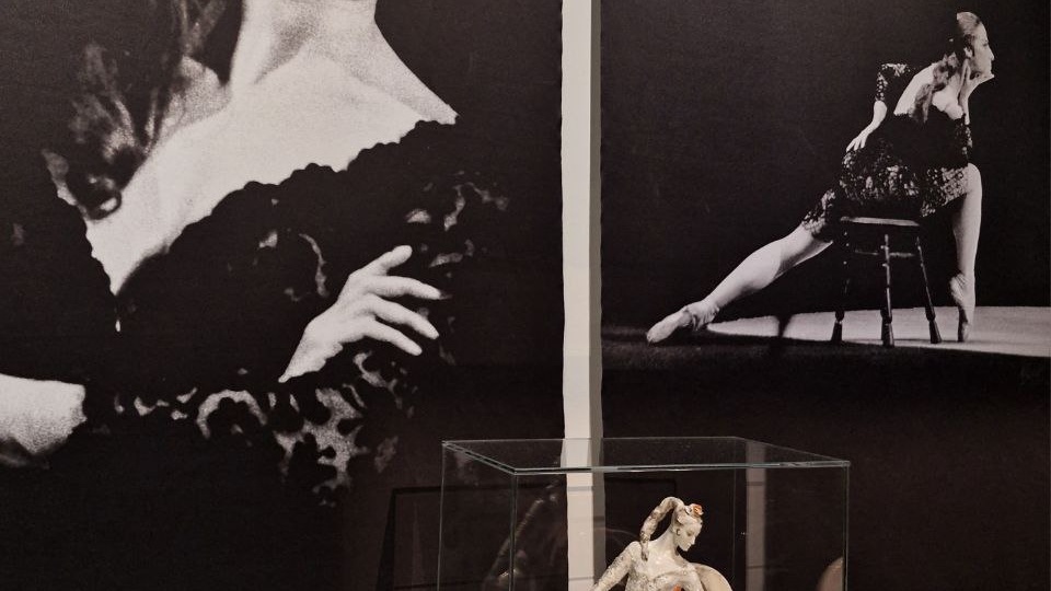 Выставка к 100-летию со дня рождения Майи Плисецкой в Рязанском историческом музее