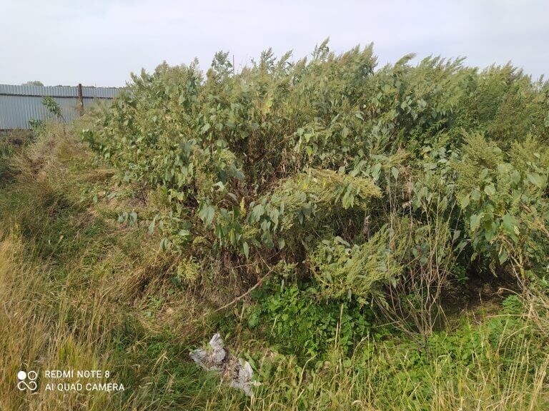    Фото: Уральское межрегиональное управление Россельхознадзора