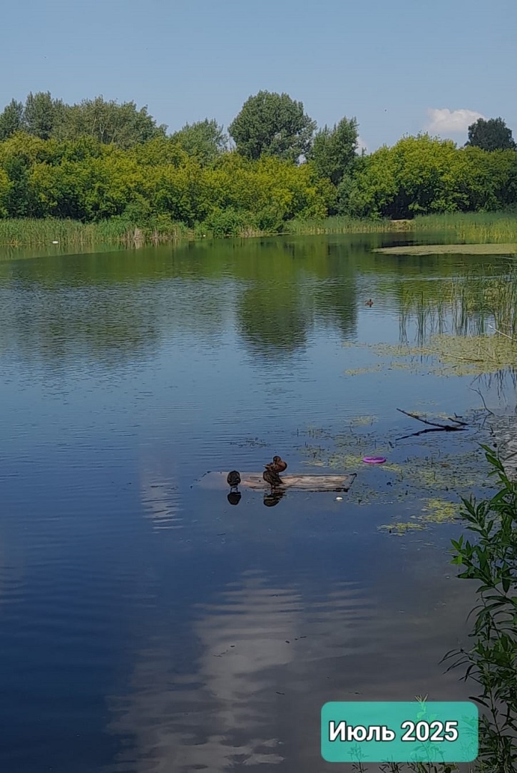 Конечно, это было ЛЕТОМ!!