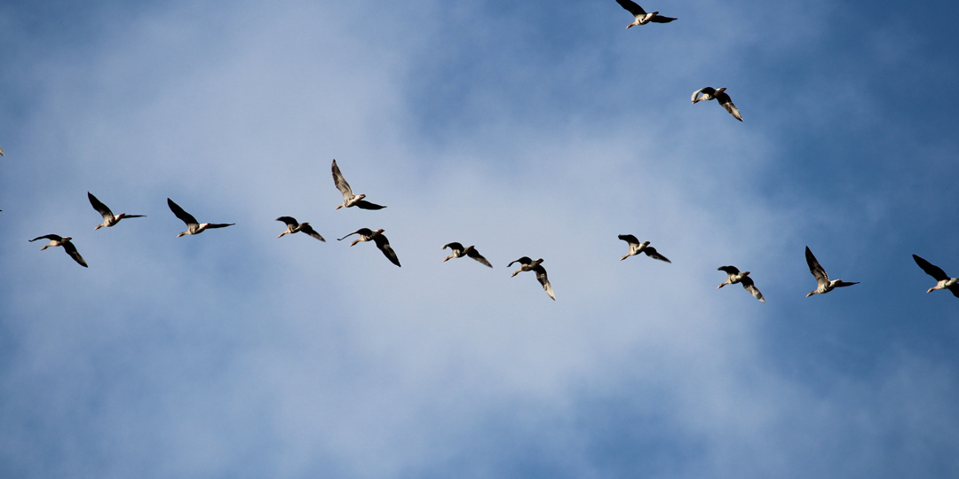 Заповедный дайджест. Октябрь 2025