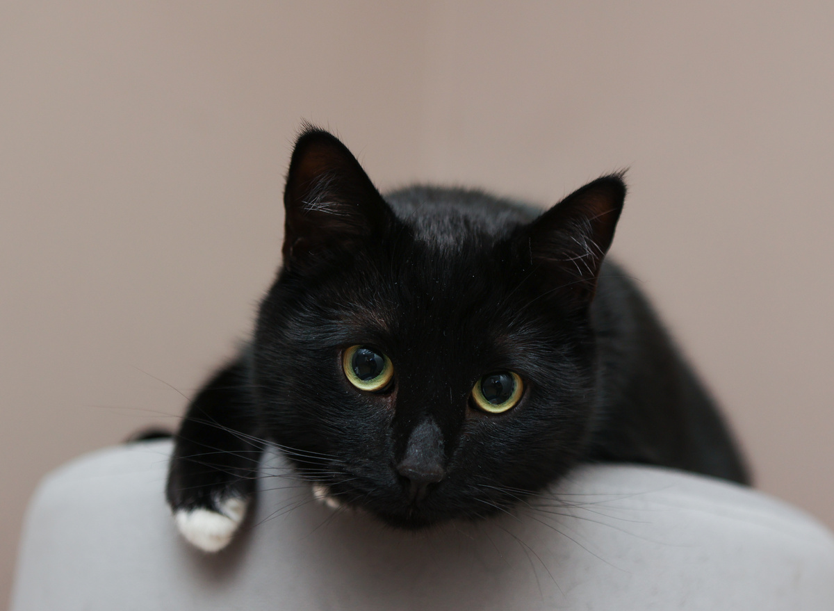 Вы чё не звоните-то???