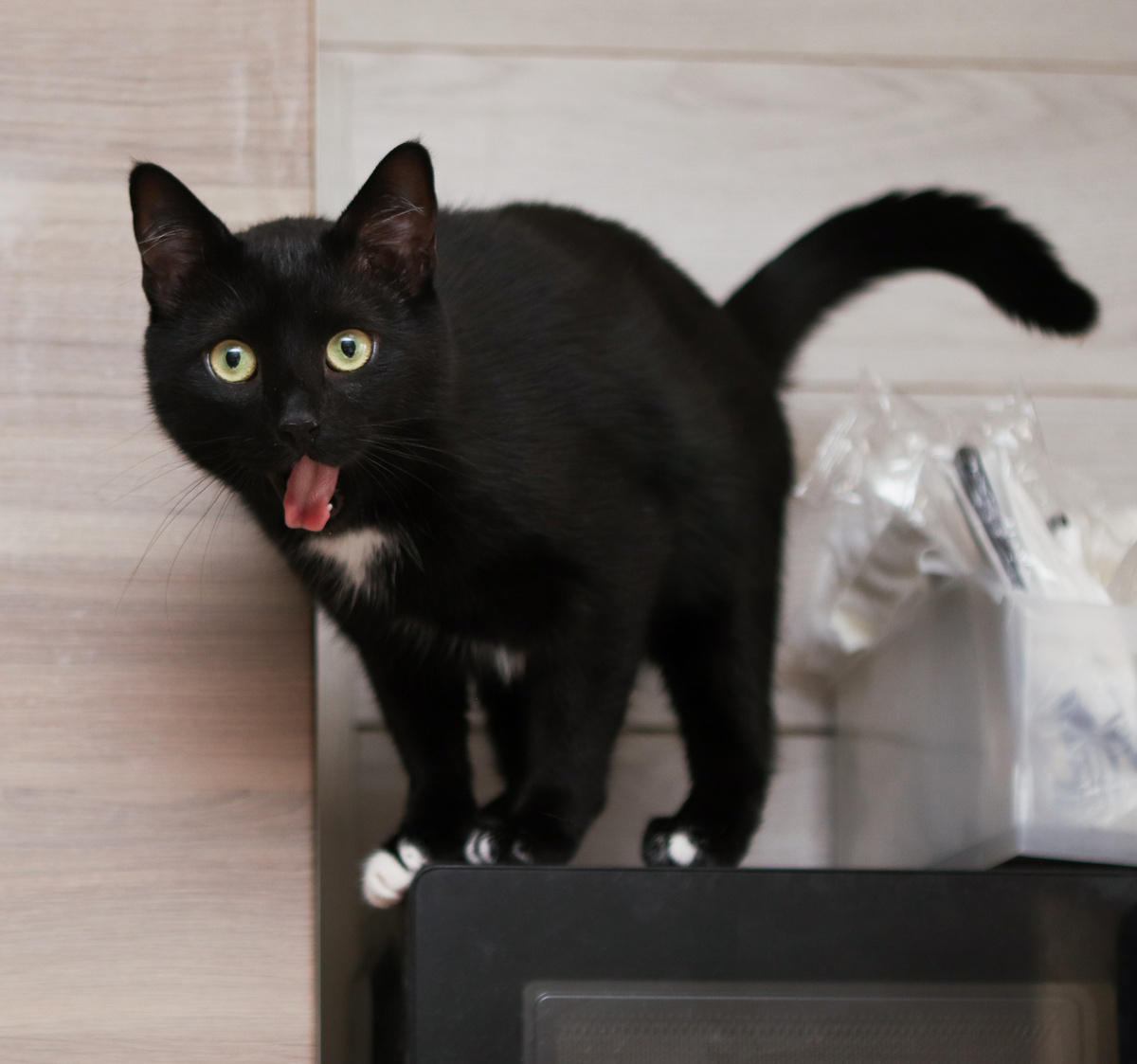 А балбесов иногда больше любят:)