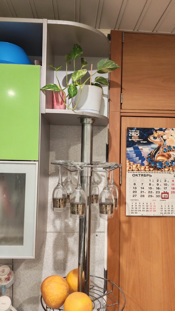 Синий тазик портит цветовую гамму, но мне очень нравится, как смотрится этот цветок тут 😃