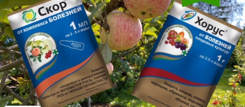 Скор против Хоруса: как выбрать правильный фунгицид без лишней химии