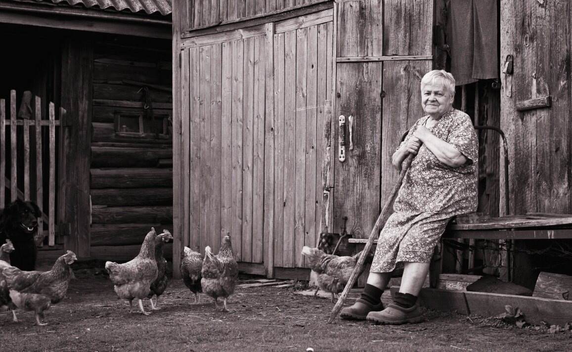 Деревенская идиллия... Фото из открытых источников.