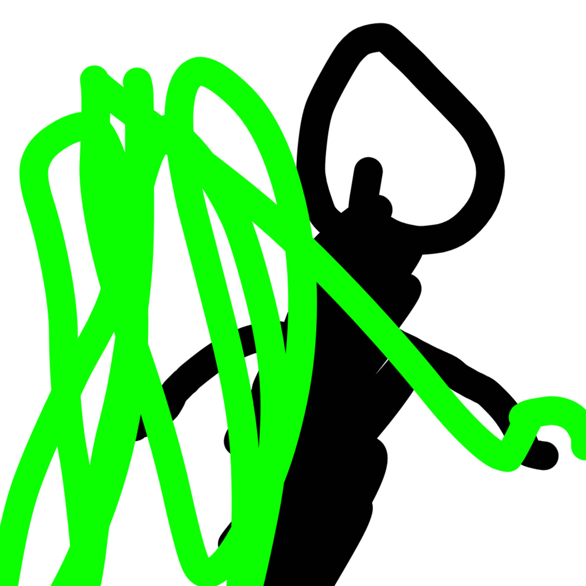 Анф до нападения