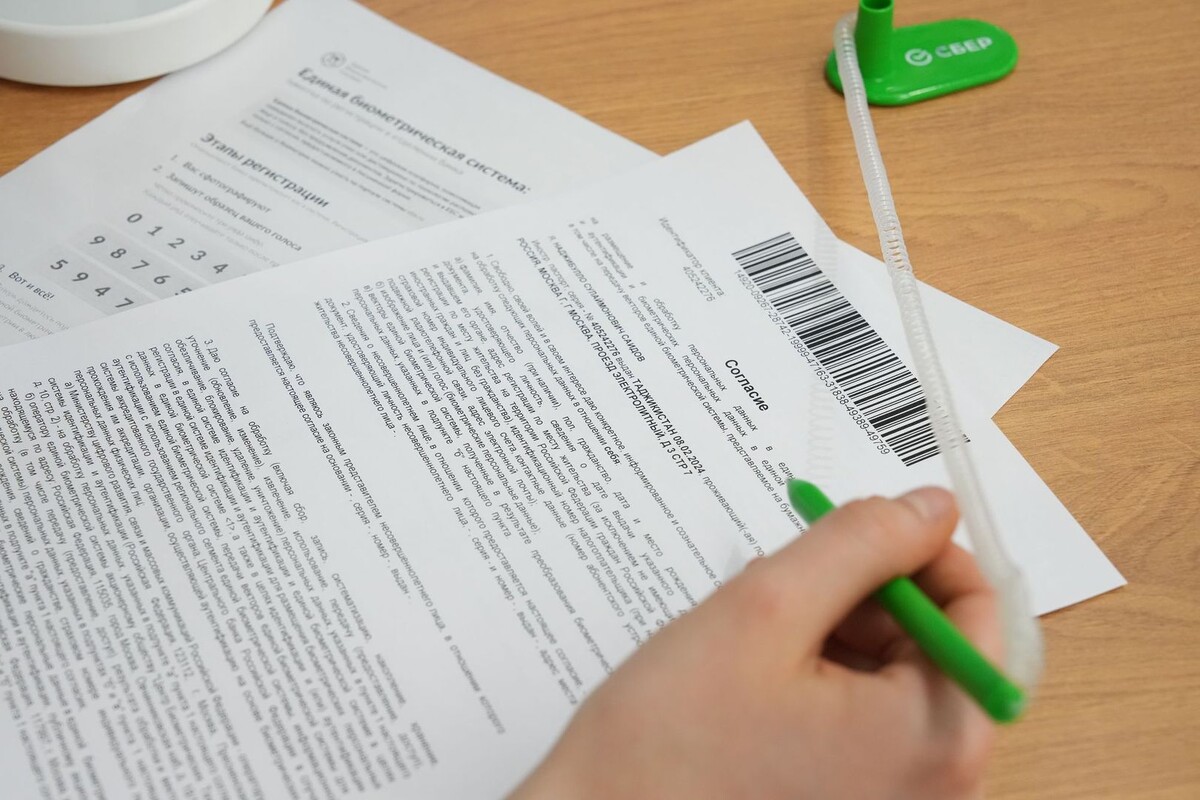     / Источник: © ИЗВЕСТИЯ/Дмитрий Коротаев