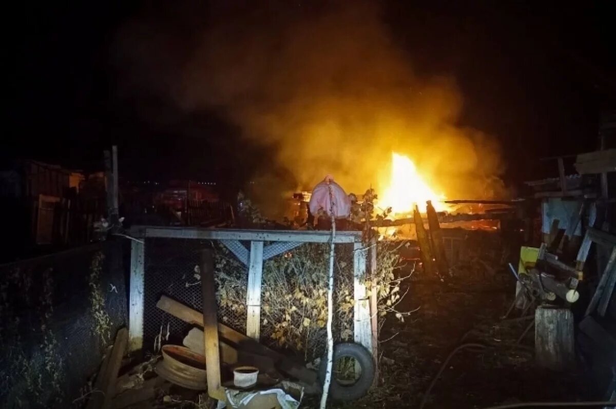    В кузбасской деревне в пожаре сгорели 40 кур