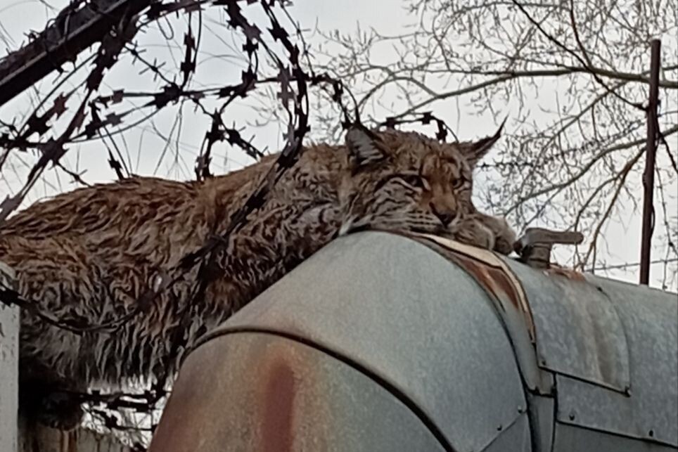     / Источник: © Соцсети