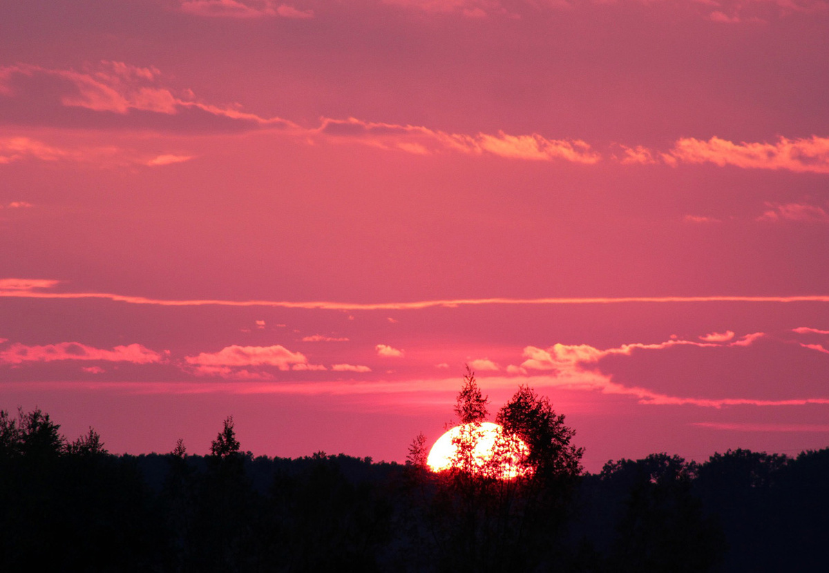 ������� ���� �� �������� 