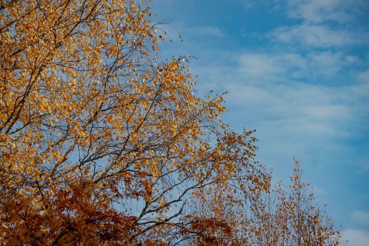    Фото: «Республика» / Оксана Кудряшова