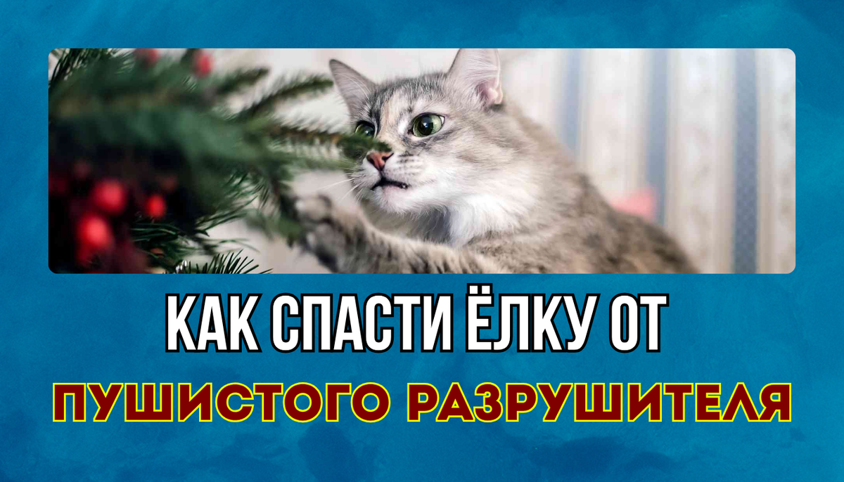 Как спасти новогоднюю ёлку от кота: советы, проверенные временем и когтями