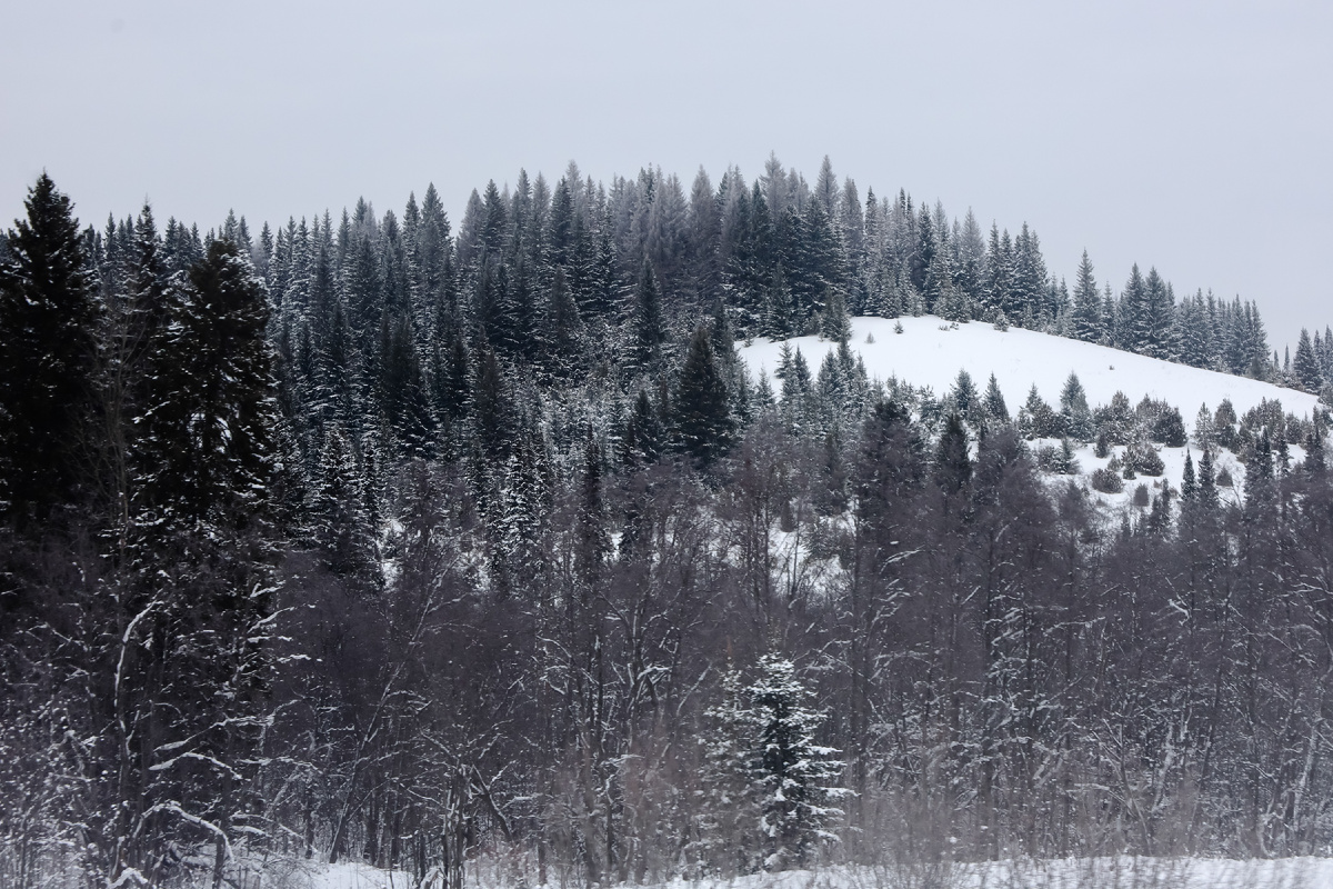 Фото: Elena Mayorova/Global Look Press