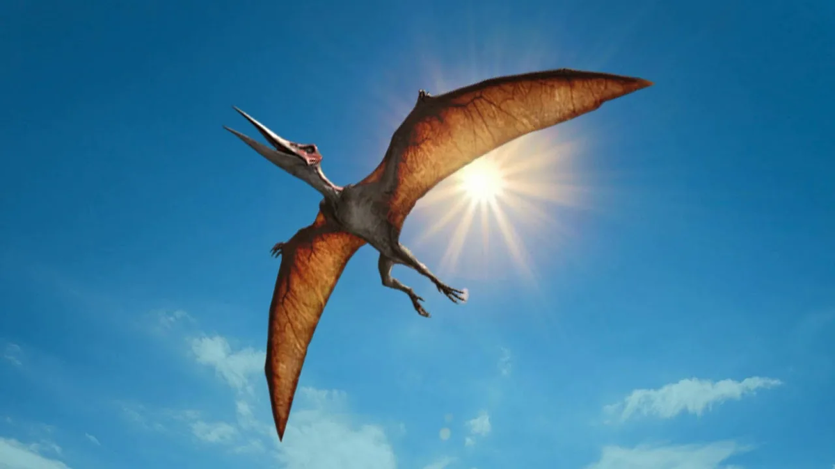 В конце юрского периода это были короли неба