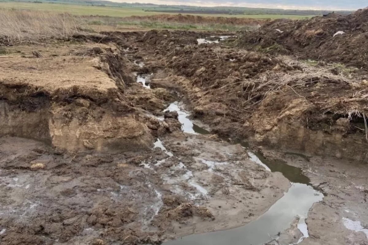    Гендиректора оштрафовали из-за загрязнении реки Бакава и мора рыбы