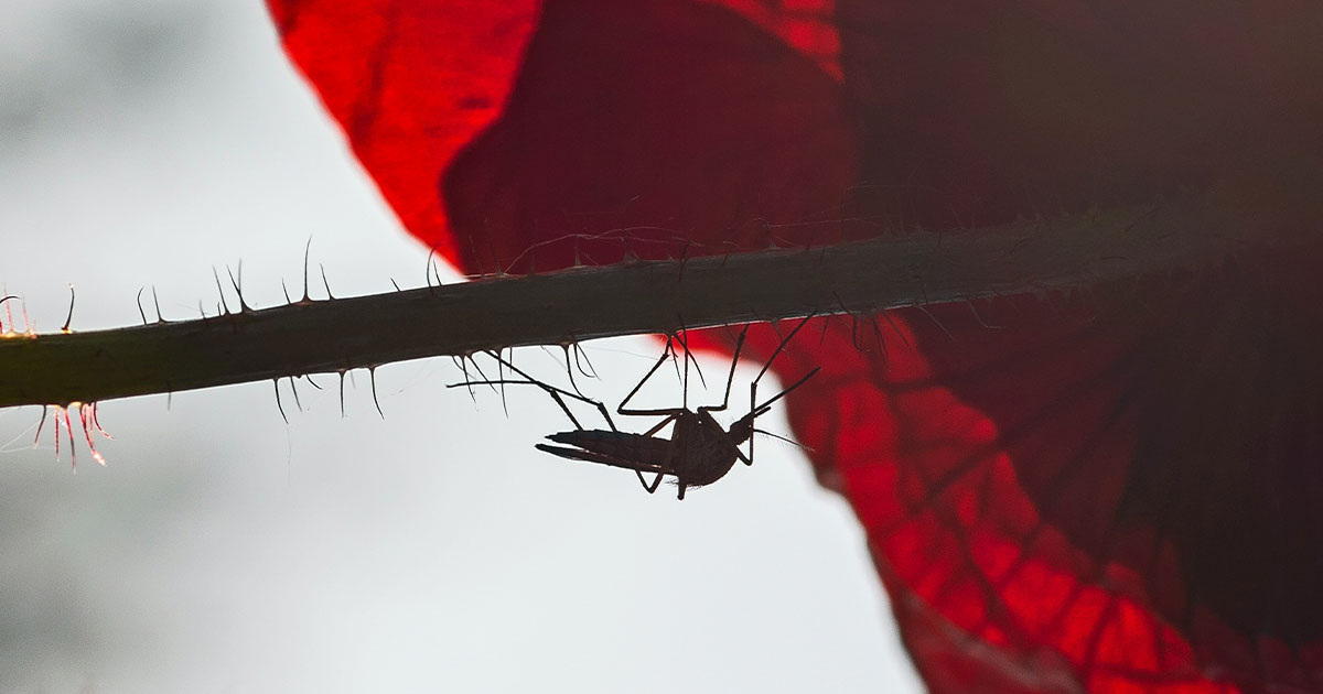 Lucas van Oort / Unsplash