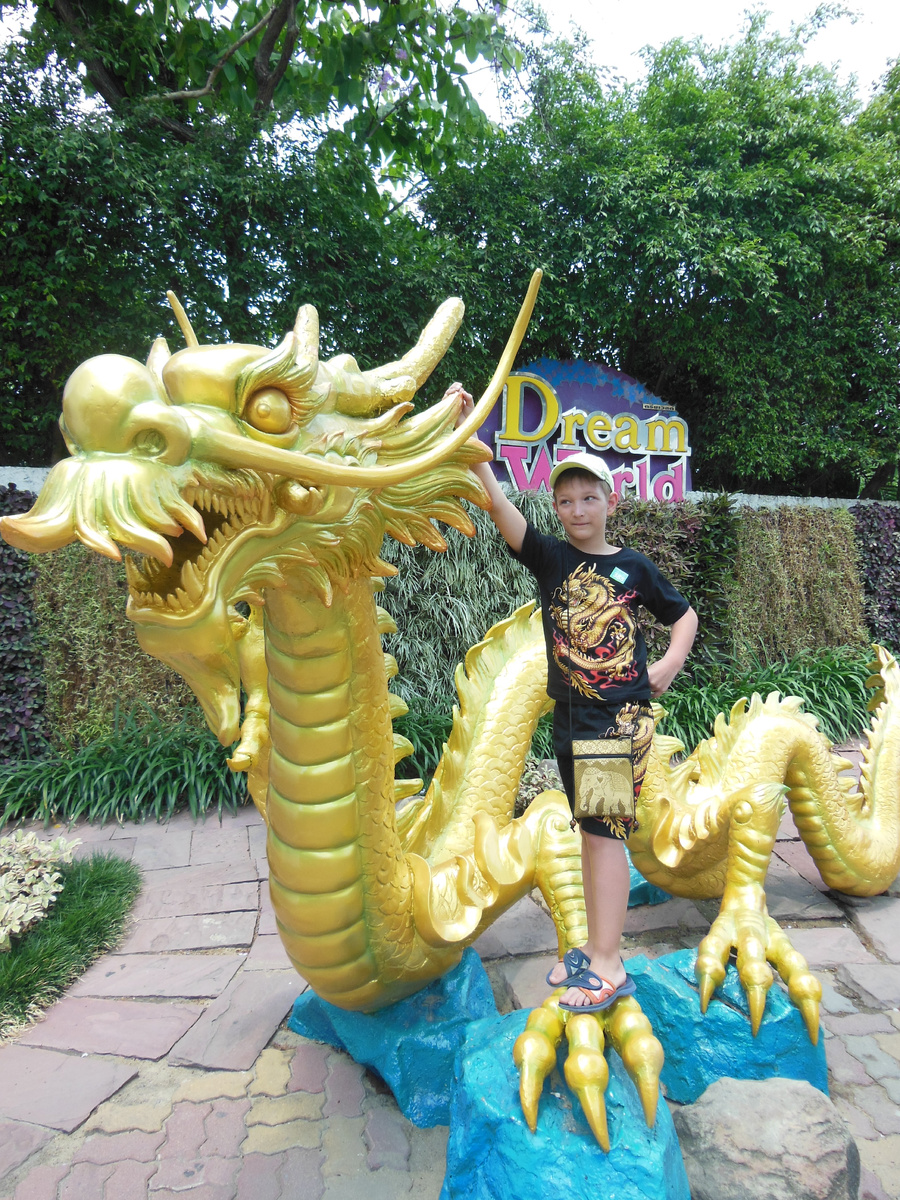 Выгоревшие,  почти белые волосы и украшенная драконами футболка младшего приводили в восторг китайских туристов