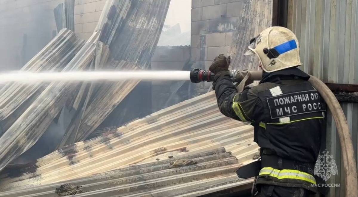    Фото: скриншот с видео / МЧС Москвы / Telegram