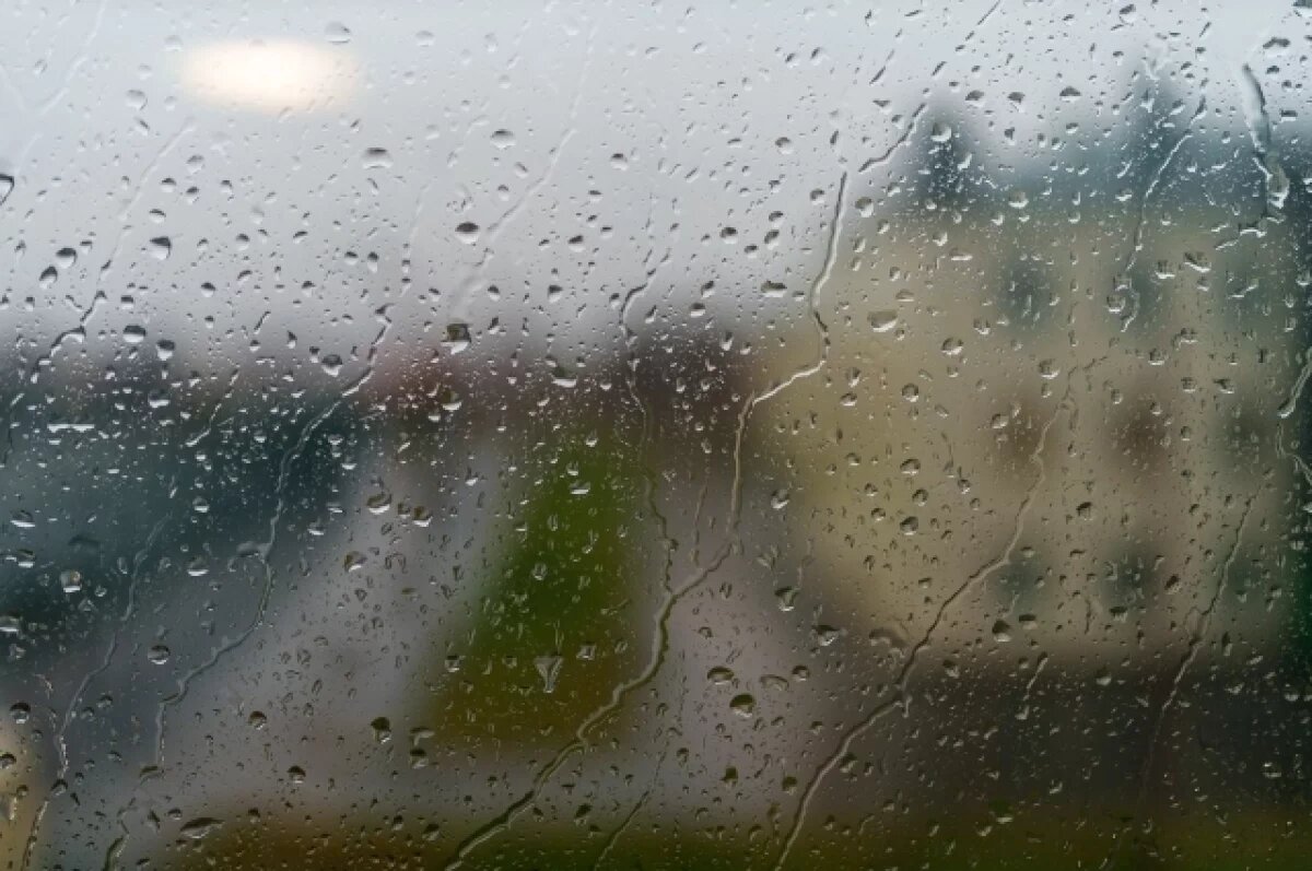    Циклон Лотар повалил десятки деревьев и вызвал подтопления в Калининграде