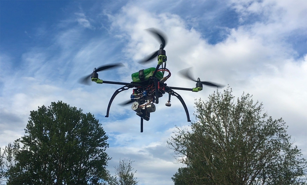    фото: © Игорь Подгорный