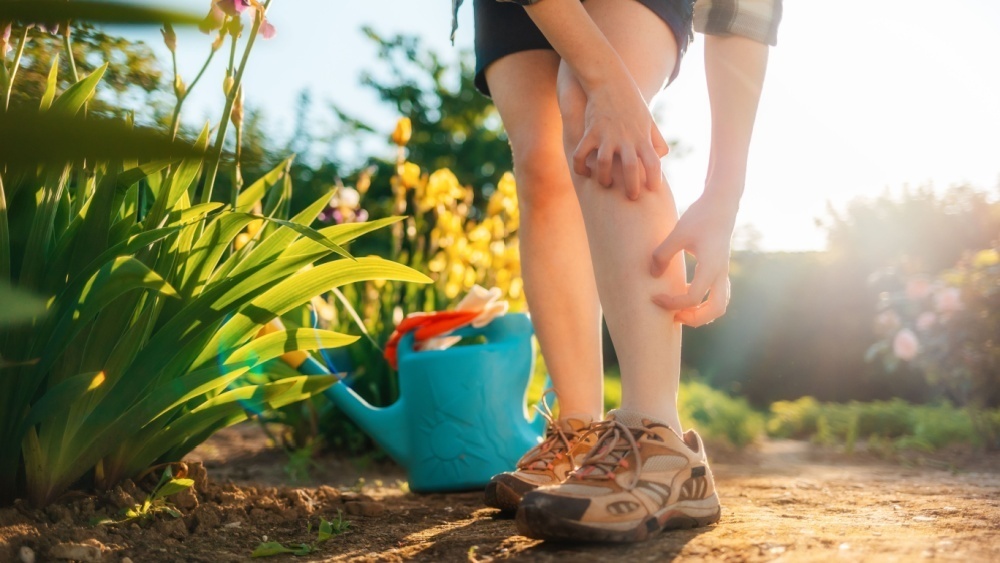    Фото: STEKLO/Shutterstock/FOTODOM