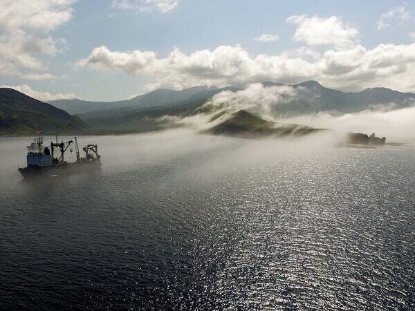    © РИА Новости Данил Годлевский