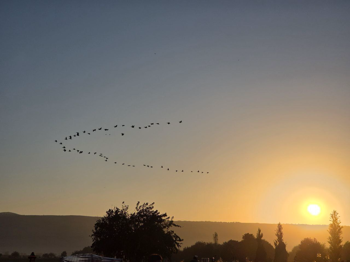 Ещё бегать - это очень красивое всё время наблюдать вокруг. На фото косяк пеликанов на рассвете, чтоб вы понимали)