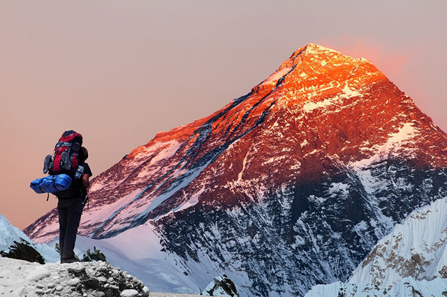    Фото: Shutterstock.com/ Daniel Prudek