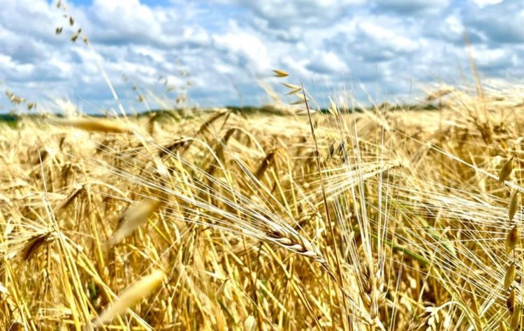    Фото: Правительство Тамбовской области