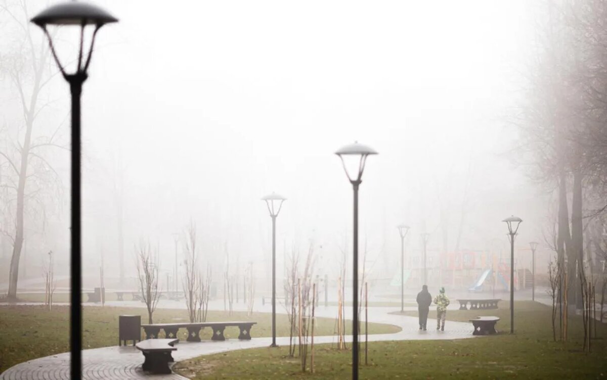    Жителей Удмуртии предупредили о тумане 1 ноября
