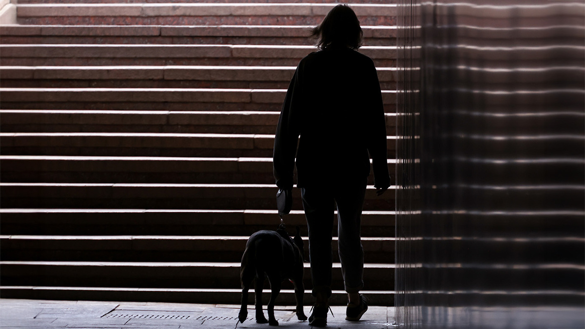   Артем Геодакян / ТАСС