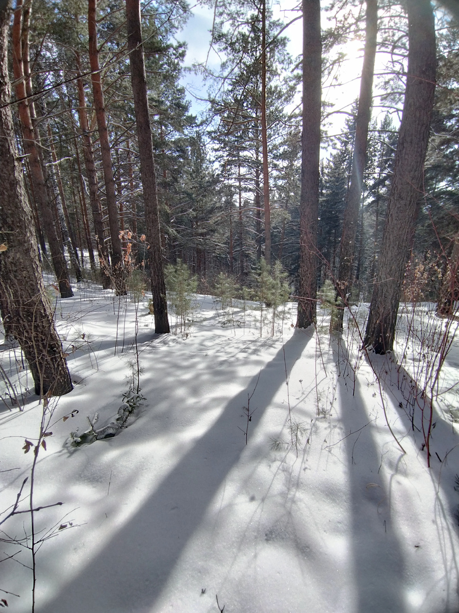 Для иллюстрации пришлось использовать прошлогодние фотографии, ибо у нас опять +10 за окном. Серо, но тепло.