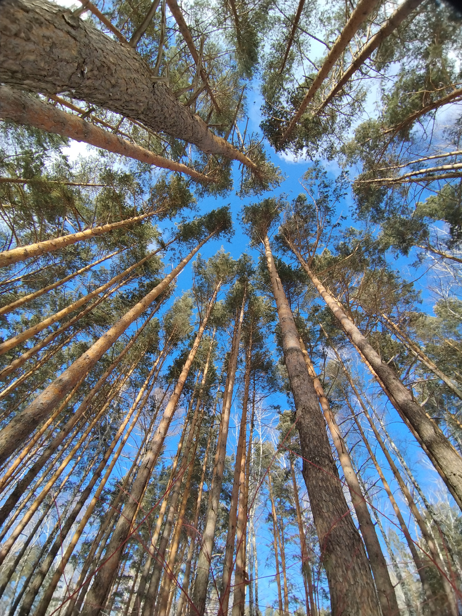Прошлогоднее фото из личного архива автора