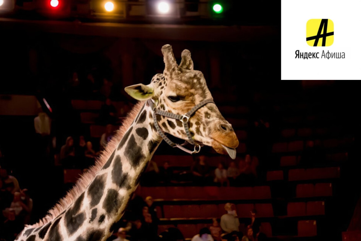 Добрый жираф всем нравится. Фото Яндекс.Картинки. 