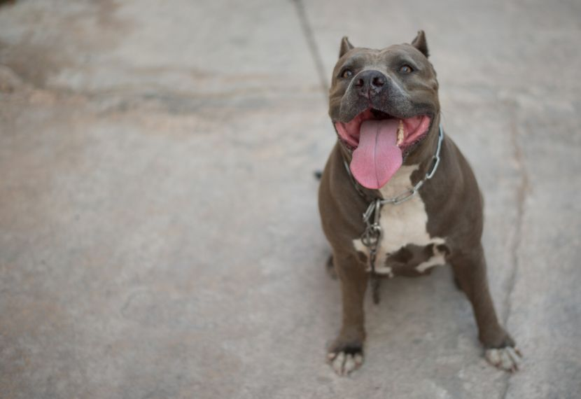 Фото: canva.com